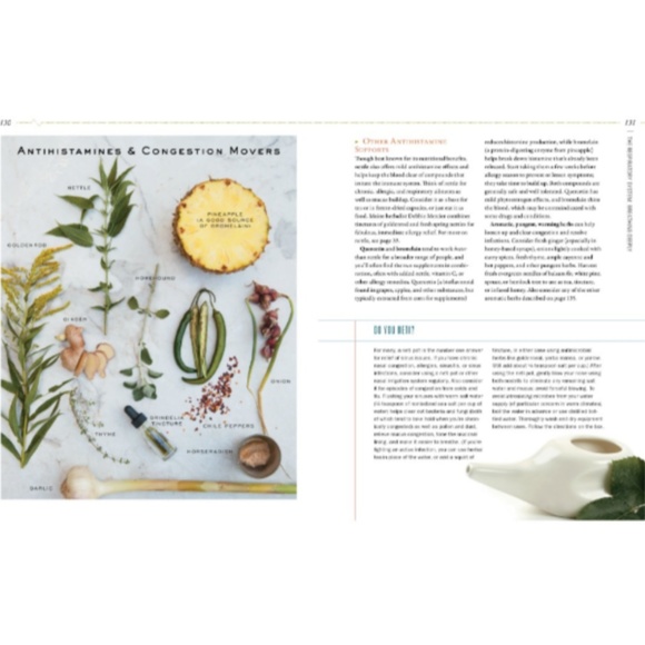 Body Into Balance - Picture 4 of 5